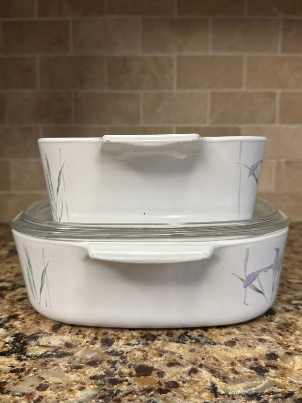 Corningware Shadow Iris Casserole Baking Dishes 1.5 & 2 Liter Set with Lid